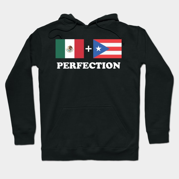 Aesthetic Mexican Plus Puerto Rican Perfection Funny Hoodie by dewinpal